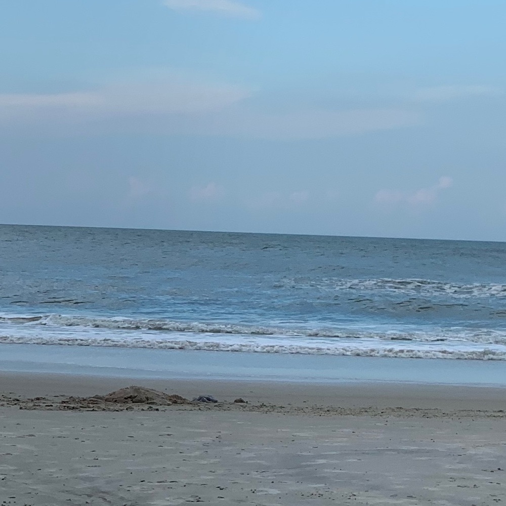 Meet your Posher, Didi